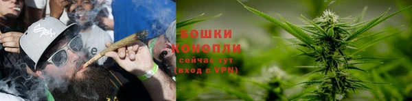 тгк Нея