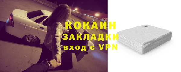 тгк Нея