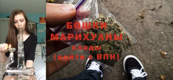 тгк Нея