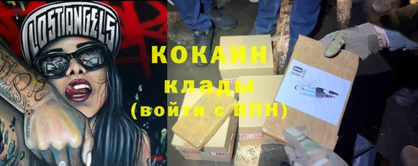 бошки Анива
