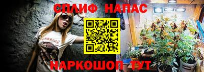 эйфоретик Дубна