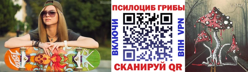 MEGA ссылки  Курган  Псилоцибиновые грибы мицелий  купить  сайты 