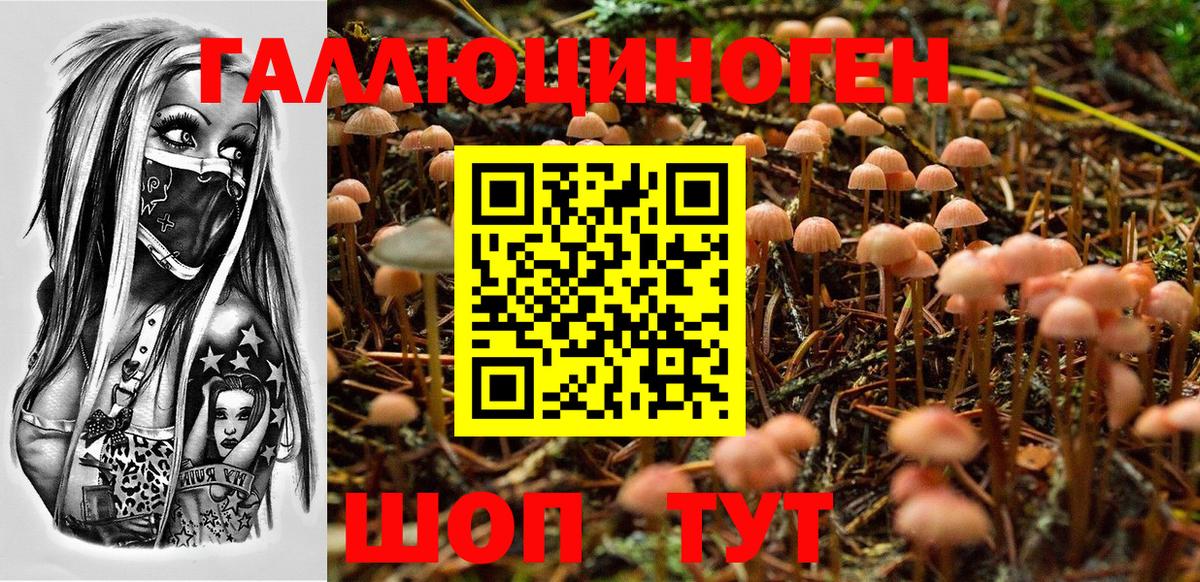 Курган  Галлюциногенные грибы Psilocybe  Вход с VPN  Галлюциногенные грибы GOLDEN TEACHER 