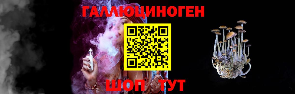 Галлюциногенные грибы Psilocybine cubensis Курган
