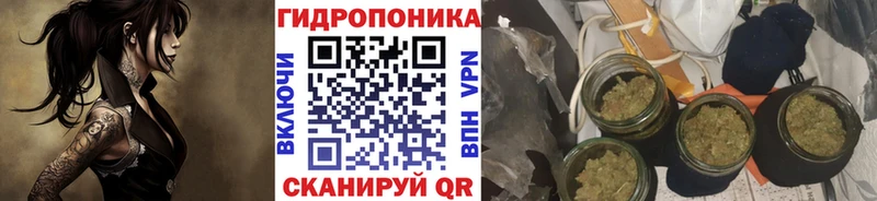 Конопля OG Kush Курган