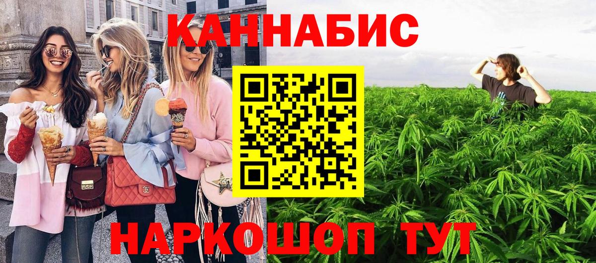 Галлюциногенные грибы Курган